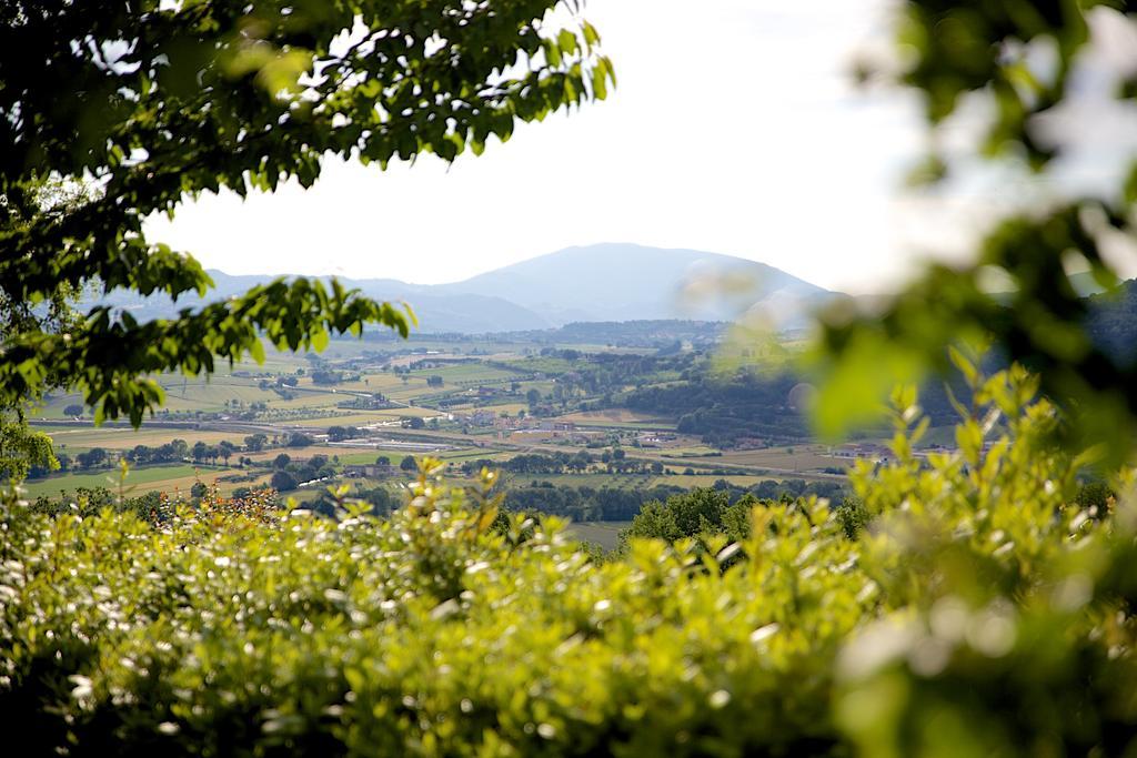 Agriturismo Le Colombe Ассізі Екстер'єр фото