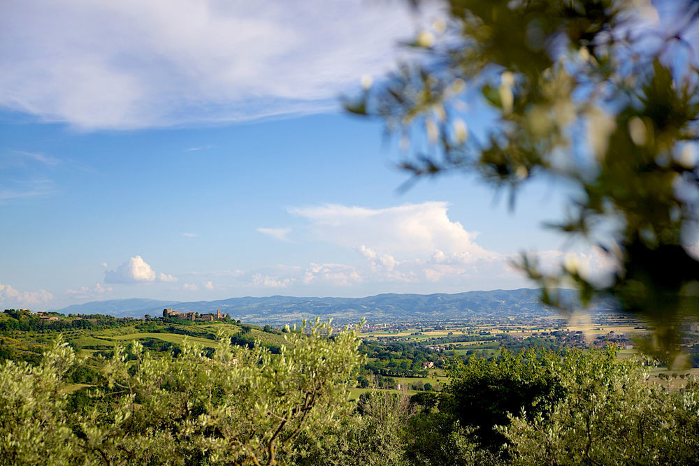 Agriturismo Le Colombe Ассізі Екстер'єр фото