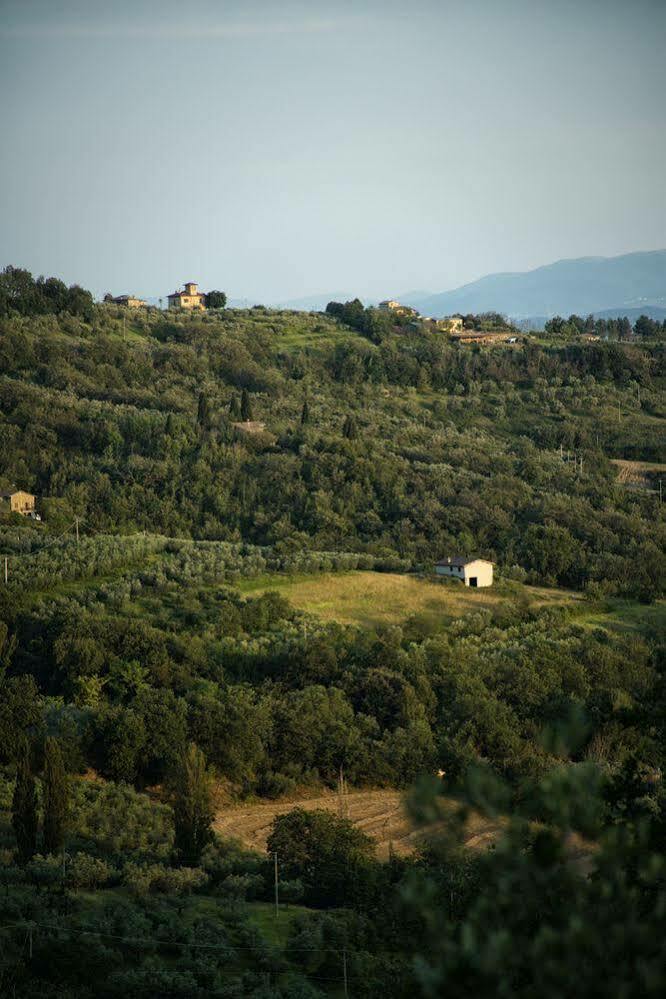Agriturismo Le Colombe Ассізі Екстер'єр фото